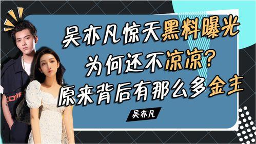 黑料官网最新爆料,最新爆料事件深度解析
