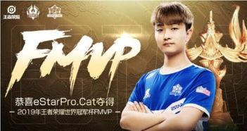 cat最新爆料fmvp,揭秘最新FMVP神秘面纱